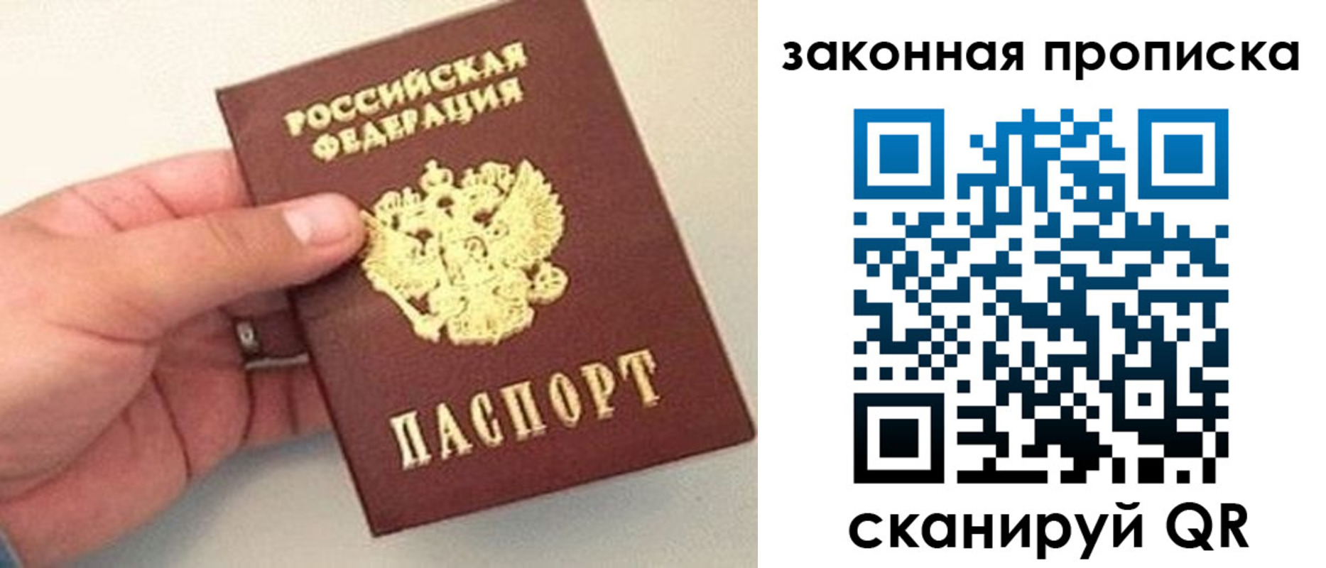 прописка гарантия в Мурманске
